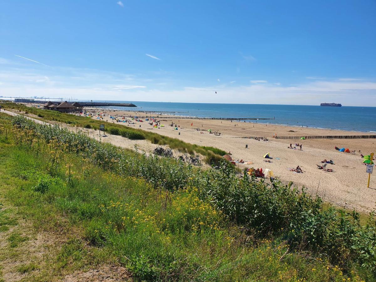 Le Normandy 5Star Διαμέρισμα Cadzand Εξωτερικό φωτογραφία